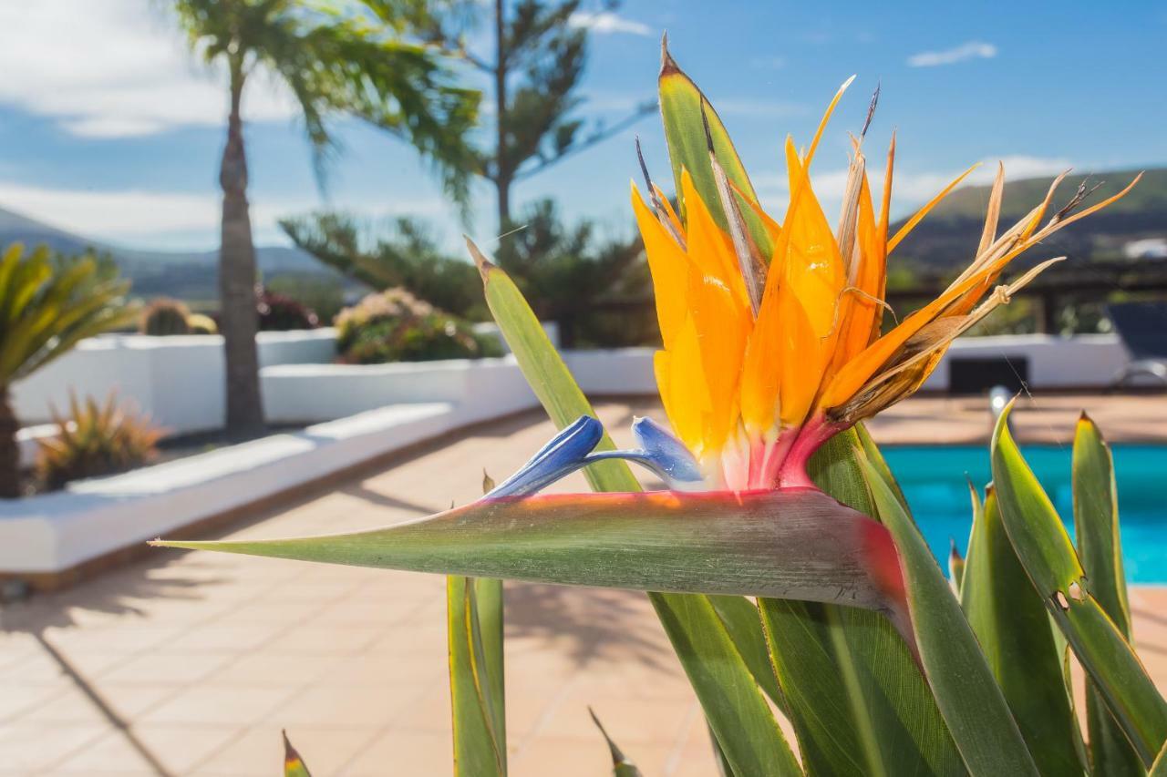 Casa El Quinto Villa La Vegueta Ngoại thất bức ảnh
